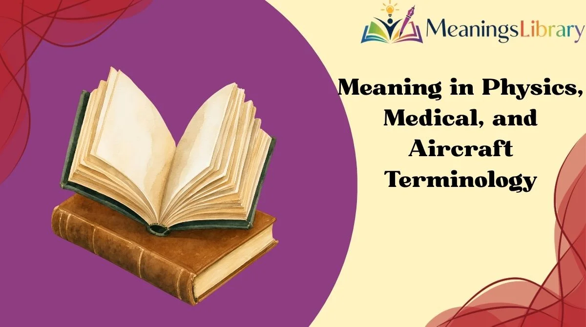Meaning in Physics, Medical, and Aircraft Terminology