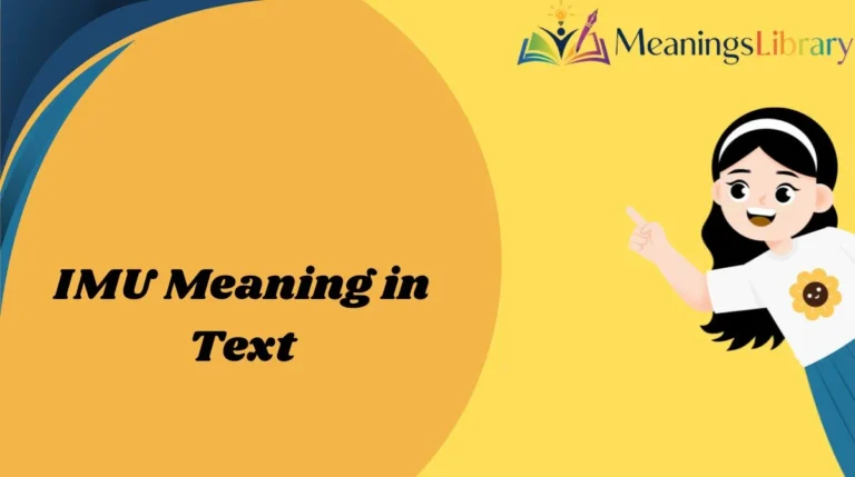 IMU Meaning in Text