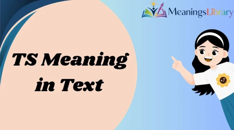 TS Meaning in Text