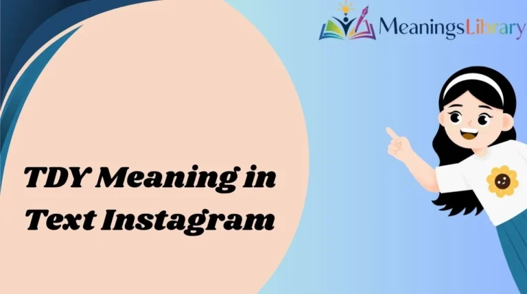 TDY Meaning in Text Instagram