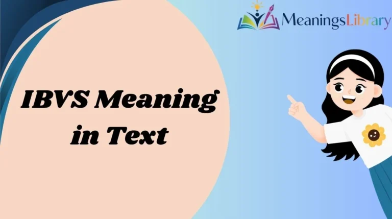 IBVS Meaning in Text
